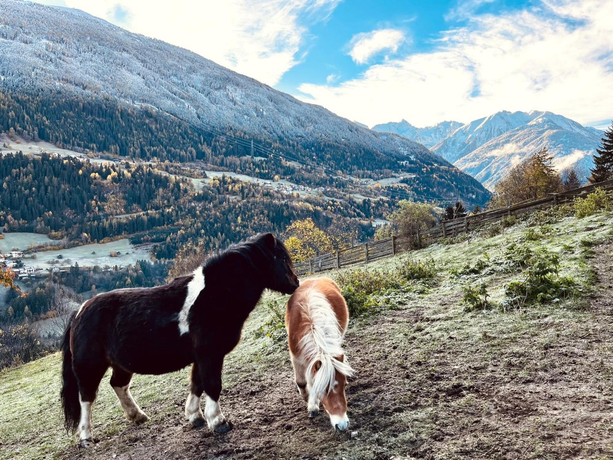Apart Alpenzeit Арцль  Экстерьер фото