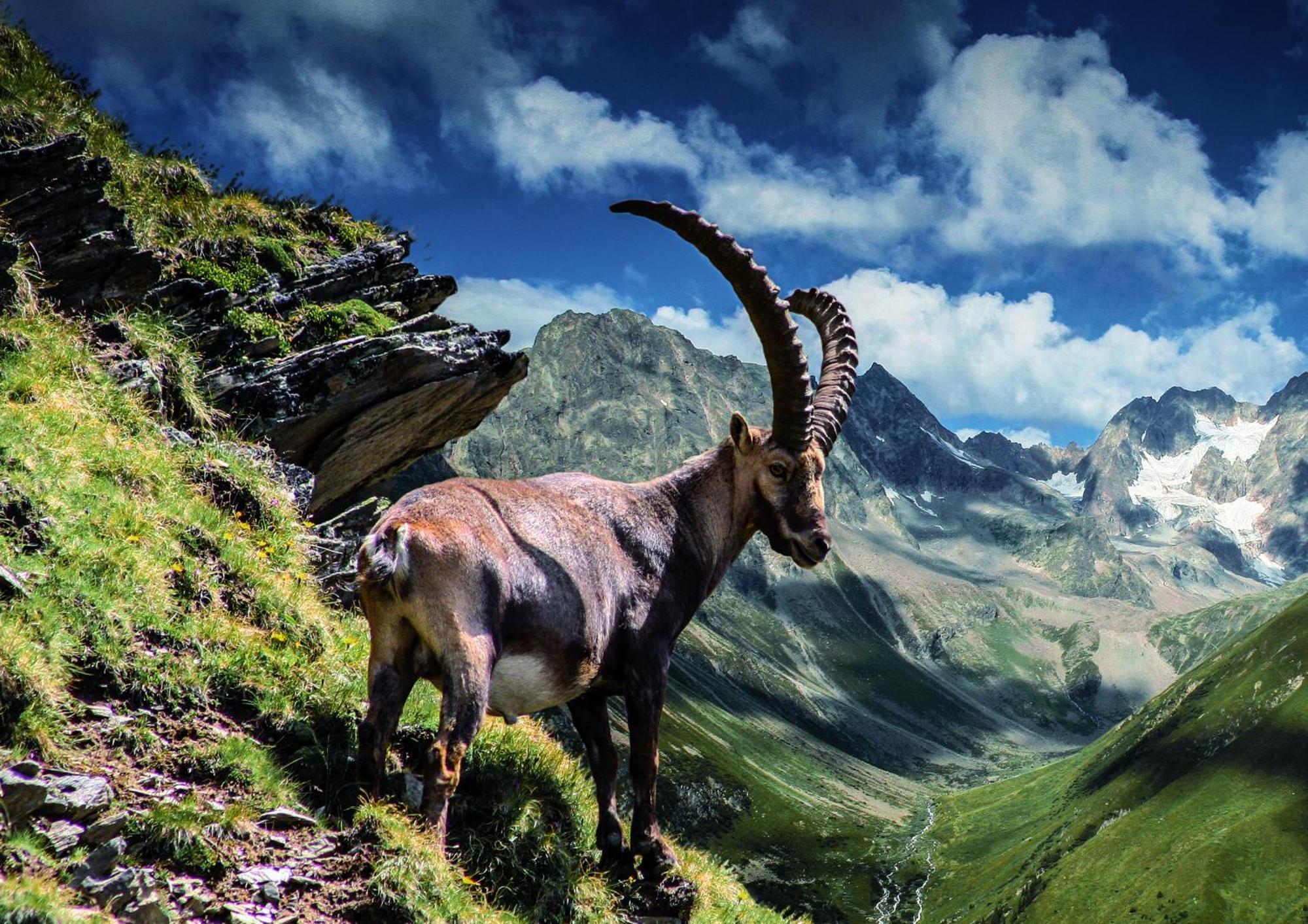 Apart Alpenzeit Арцль  Экстерьер фото