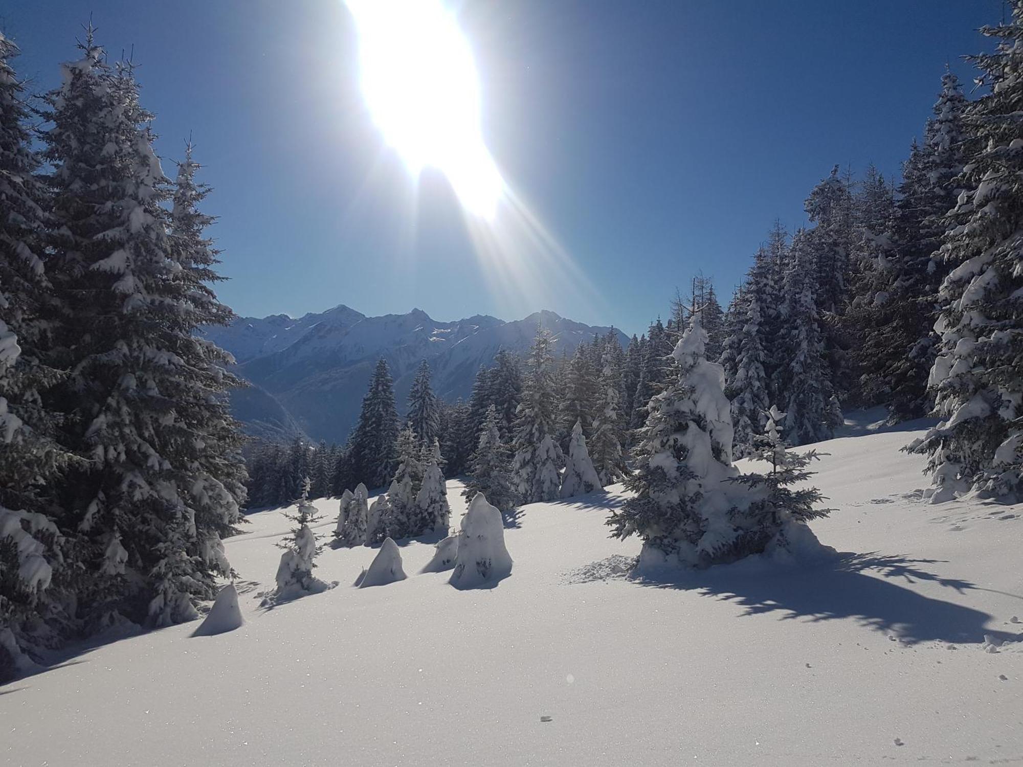 Apart Alpenzeit Арцль  Экстерьер фото